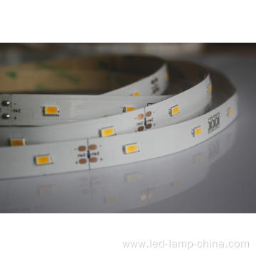 Super Thick SMD5630 LED Strip Light Non Waterproof